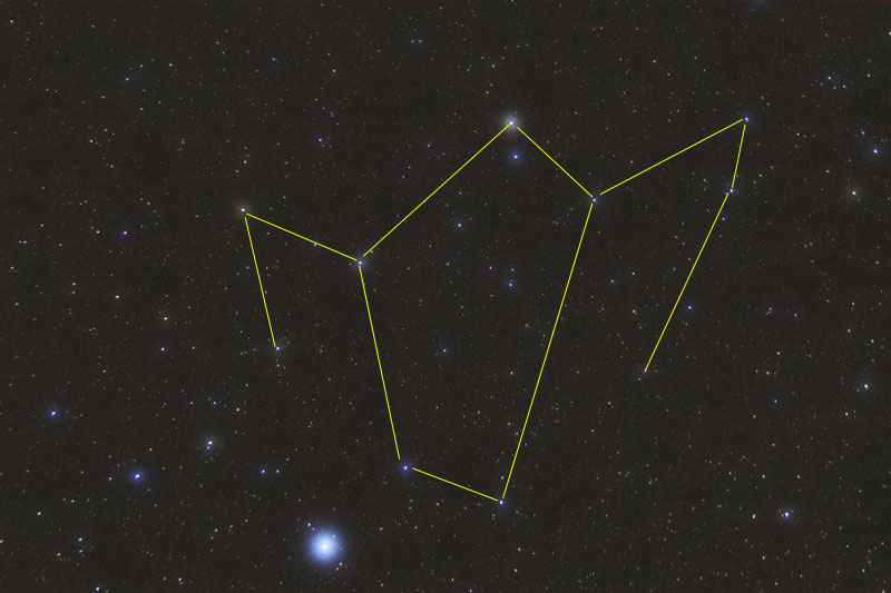 Phoenix Constellation with constellation lines