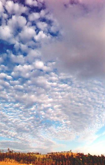 Alto Cumulus