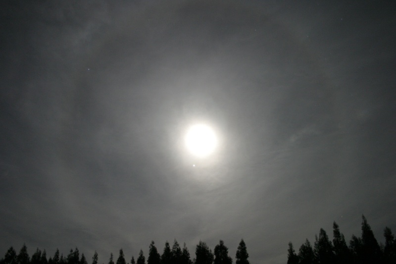 Moon Halo